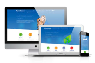 redesign and revamp wordpress site fixing responsive issues