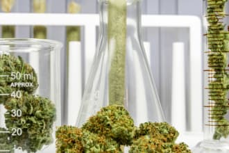 write medical cannabis content for you