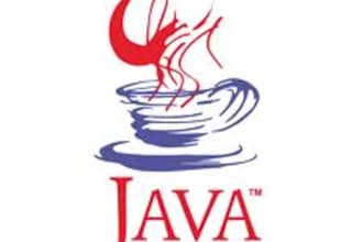 develop java programme