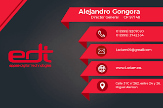 do a attractive and professional business cards