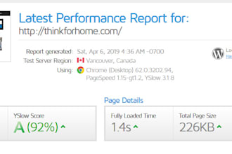 boost wordpress speed with professional speed optimization