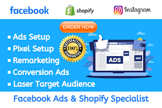 run fb ads, instagram ads for shopify and woocommerce