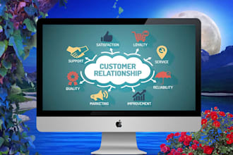 provide crm, erp  and web application  management solution