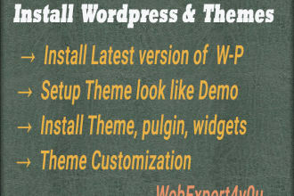 install, setup or customize wordpress like demo