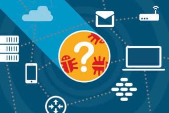 offer network security courses