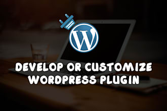 develop or customize wordpress plugin