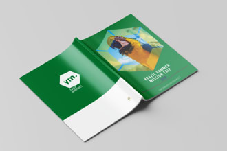 design professional flyers, corporate booklet, annual report