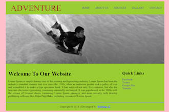 build a perfect wordpress website