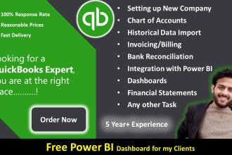 setup and do bookkeeping in quickbooks online along with free power bi dashboard
