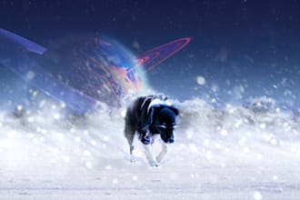 photoshop anything you need