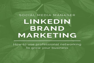 create,optimize,manage linkedin profile and business page