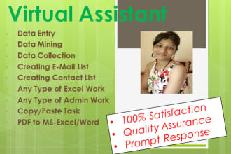 do data entry, copy paste, data mining and research