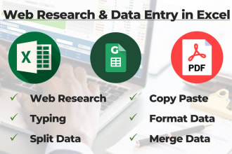 do excel data entry, copy paste, web research, typing service