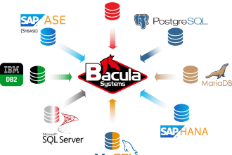 sql oracle postgres development administration the databases