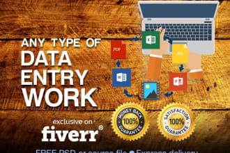 do online and offline data entry