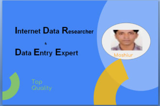 do internet data research and data entry