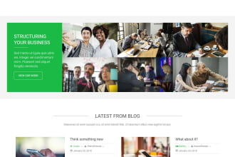 create SEO friendly responsive website by wordpress