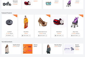 make ecommerce website using wordpress woo shopping cart