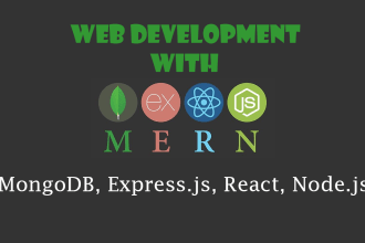 develop your custom website using mern stack