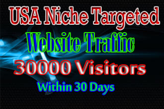drive usa niche,targeted website,traffic,visitors