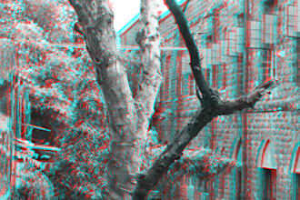 turn your photo into 3D with help anaglyph glass