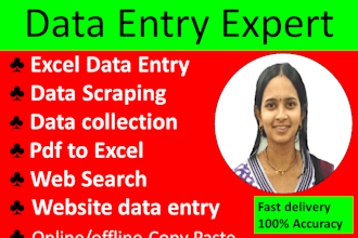 do data entry excel, copy paste and web search