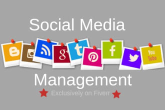 be your social media marketing manager