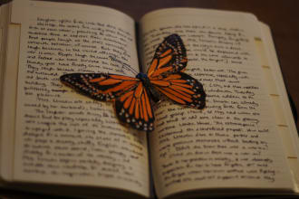 copyedit your middle grade or young adult novel