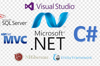 build debug fix custom asp net website
