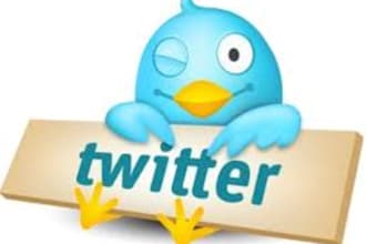 add 30000 twitter follower to your any  twitter account within few hours