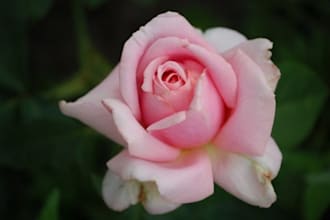 give you a past life reading with details of yourself with channeled info