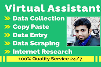 do data entry, web research, data cleaning, scraping, copy paste, PDF to excel