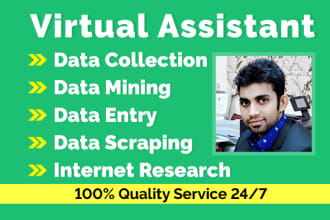 be an ideal virtual assistant, data entry, web research, copy paste, data mining