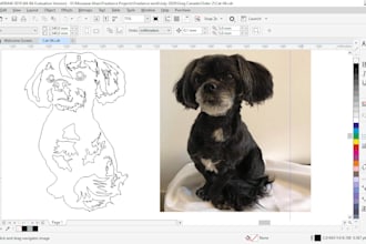 make dxf file for laser cutting and engraving