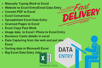 do professional excel data entry