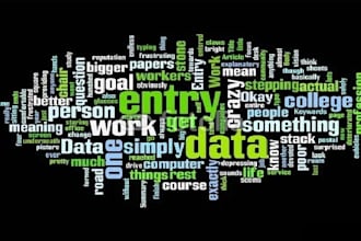 be your ultimate data entry assistant for 8hrs daily