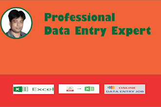 do data entry service