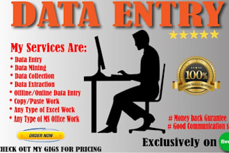 do online and offline data entry work