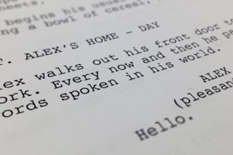 edit, revise and provide feedback for your screenplay