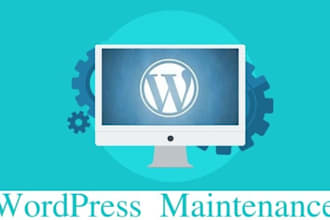 do professional wordpress maintenance service