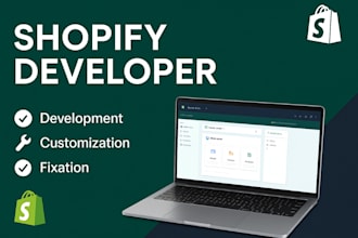 do custom shopify coding as your expert developer