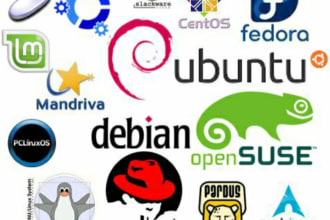 fix any IT issues linux ubuntu centos windows whm cpanel aws