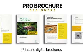 design pdf digital brochure print ready