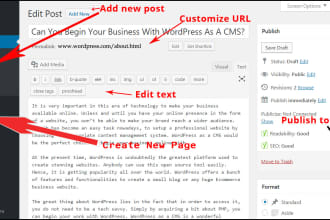 do professional wordpress,woocommerce data entry
