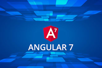 develop angular functional and complex web application