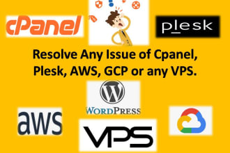 resolve cpanel plesk AWS gcp wordpress issue or any vps issue