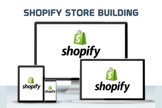 build dropshipping shopify store branded shopify website