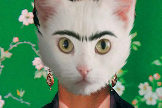 create portrait of your pet