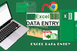do excel data entry