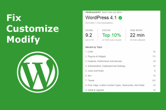 customize, fix or add functionality to wordpress website